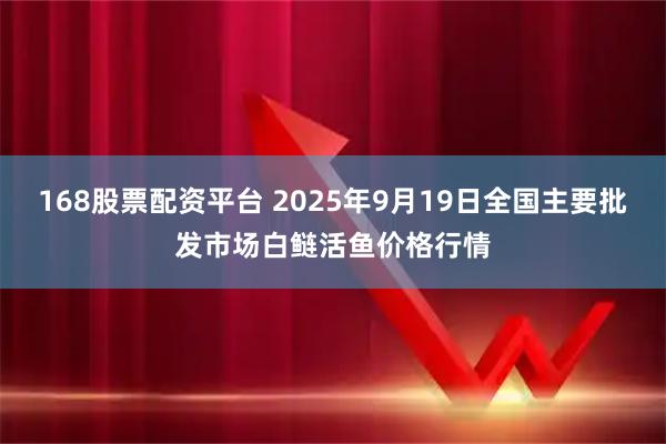 168股票配资平台 2025年9月19日全国主要批发市场白鲢活鱼价格行情